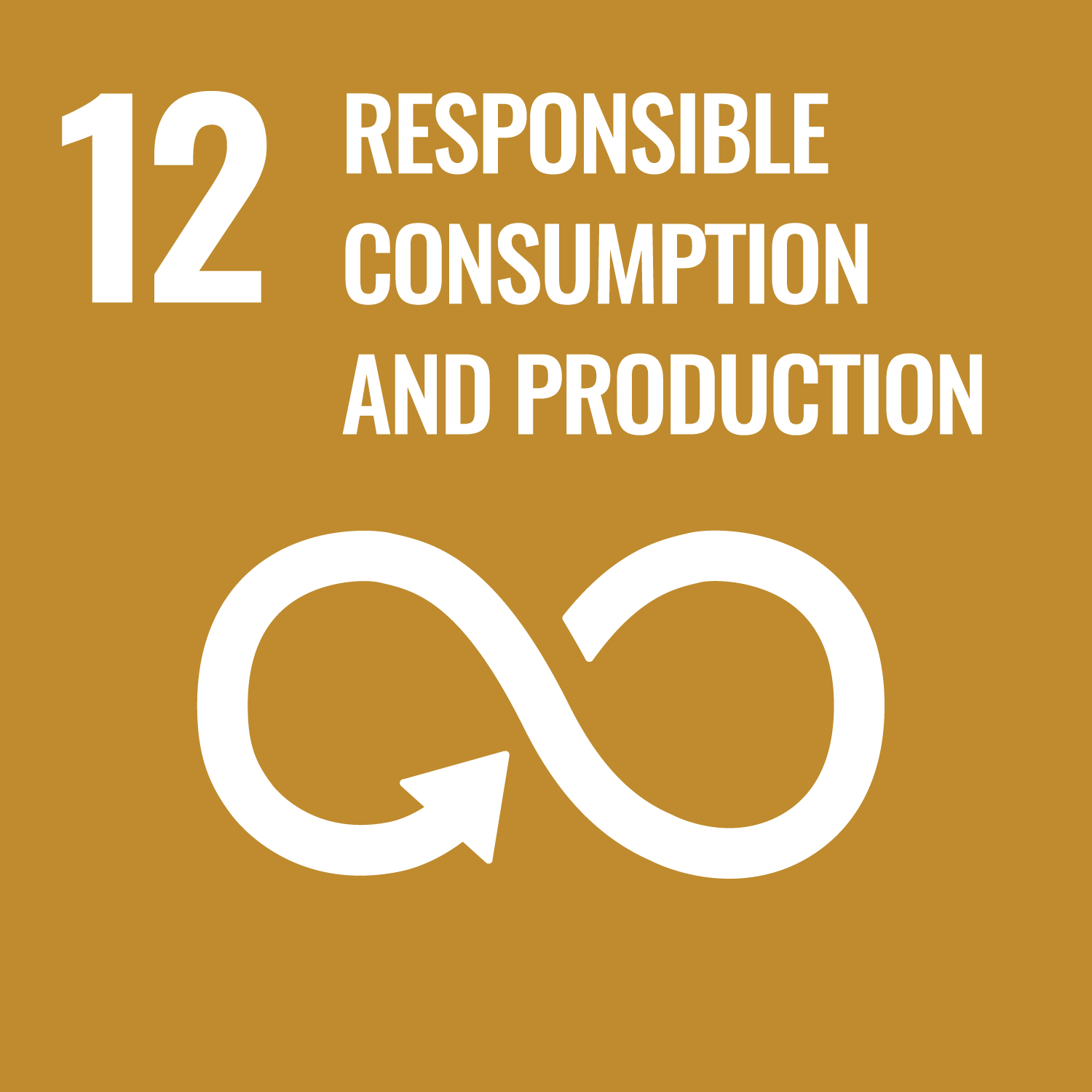 Sustainable Development Goal #12 (Responsible Consumption and Production)