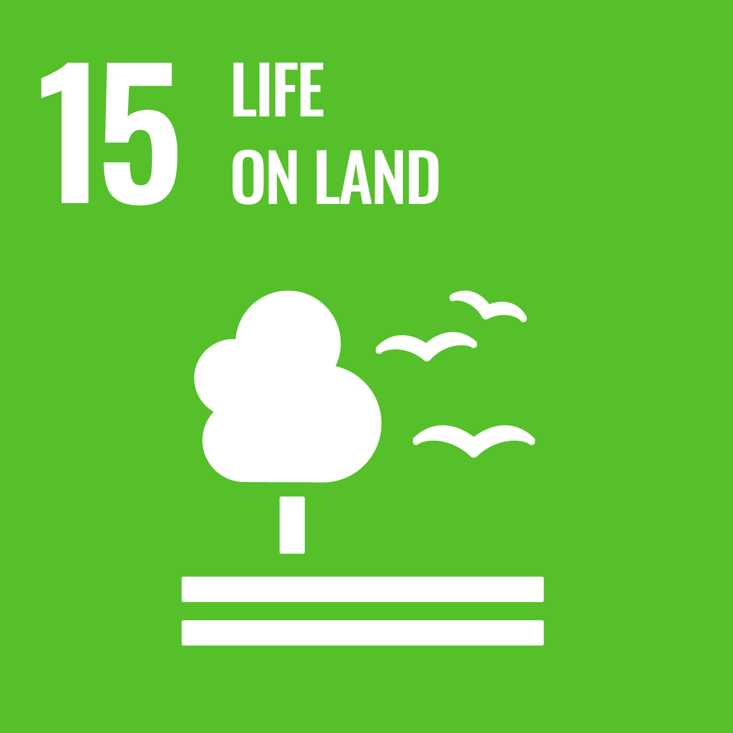 Sustainable Development Goal #15 (Life on Land)